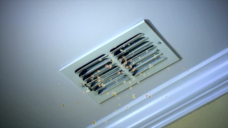 Home Air Vent Cleaning in Bath, MI